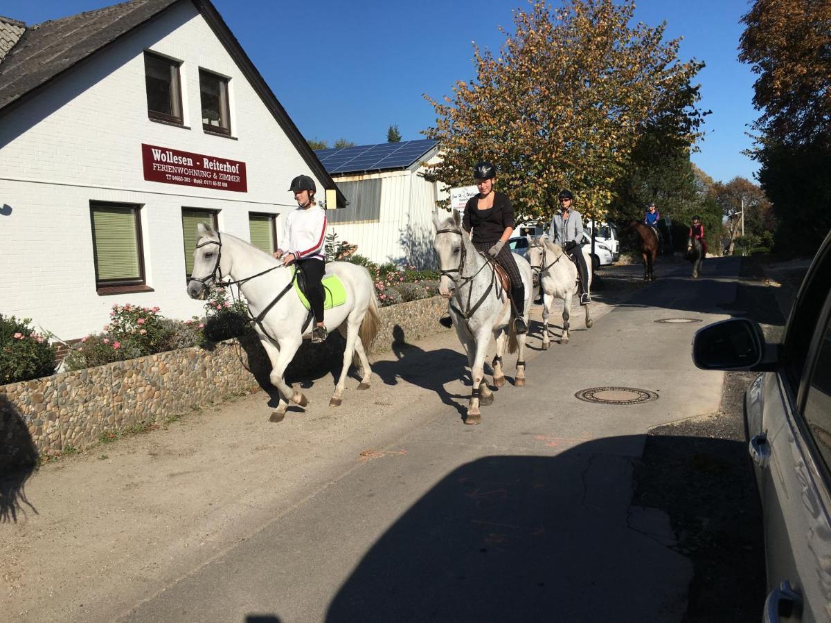 Hotel Reiterhof Wollesen Süderlügum Esterno foto